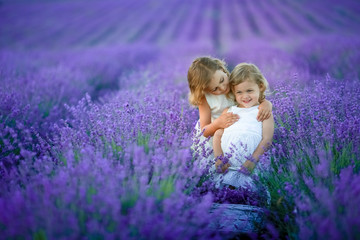 Two cute little sisters in a lavender field