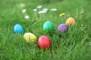 Fototapeta na wymiar Different color Easter eggs in a grass