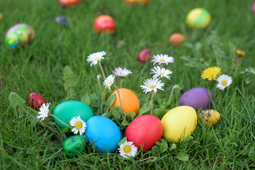 Fototapeta na wymiar easter eggs in green grass