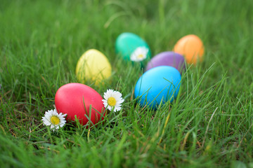 Fototapeta na wymiar Red Easter egg in a grass