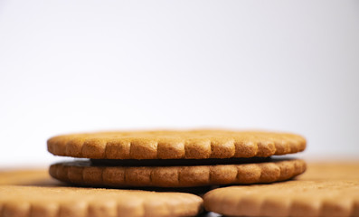 chocolate chip cookies on white background