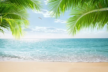 Raamstickers View of nice tropical beach with some palms © Dmitry Ersler