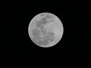 Naklejka na ściany i meble Full moon from Houston location
