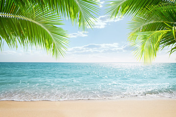 View of nice tropical beach with some palms - 248187204