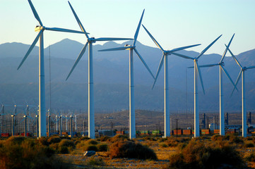 Clean energy generated by wind turbines in Palm Springs, California. 