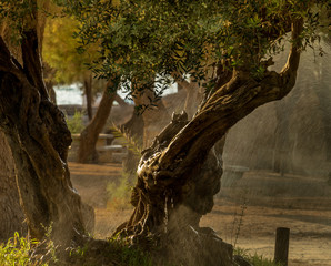 Day off in the city park. Israel Ashkelon October  2018.