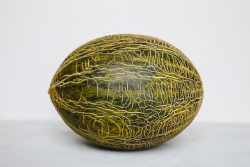 A green melon lies on a light background