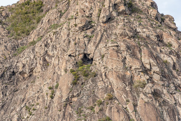 crave in mountain