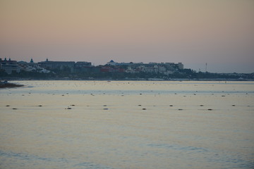 Meer