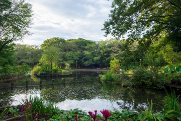 横浜　都筑せせらぎ公園