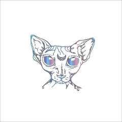 Color illustration of the Canadian Sphynx with the moon in the forehead. An idea for a tattoo.