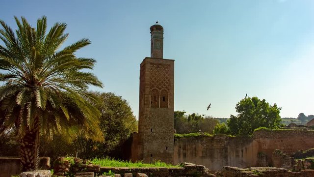 Roman Ruins in Morocco - The Chellah Hyperlapse