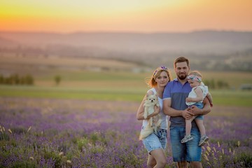 Little girls with dog and falily playing in lavender field