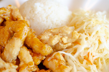 Chinese food, rice with fried chicken in soya sauce and vegetables, cabbage and carrots in a white plate, close up