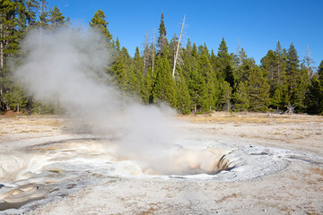 Geyser