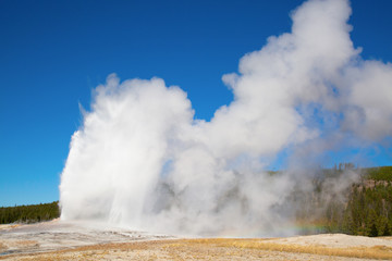 Geyser
