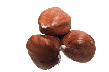 nut isolated on white background