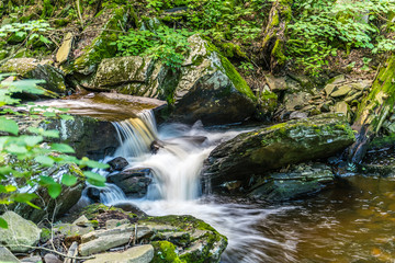 Creamy Water Flows Over Shale Rock in Ricketts Glen State Park of Pennsylvania