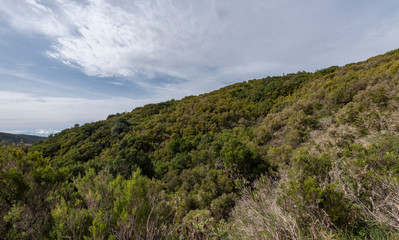 Fototapeta na wymiar landscape with mountains in la gomera