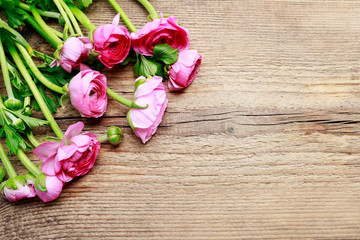 Pink persian buttercup flowers (ranunculus) on wooden background