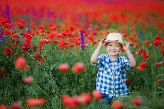 Little cute boy in field with red poppies and blue sky