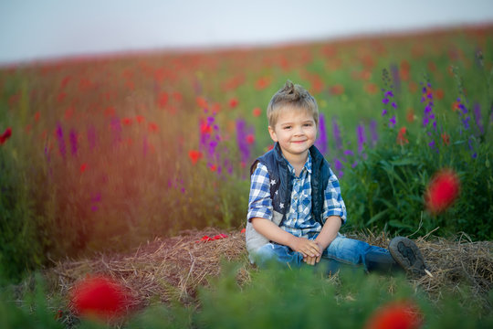 Little cute boy in field with red poppies and blue sky