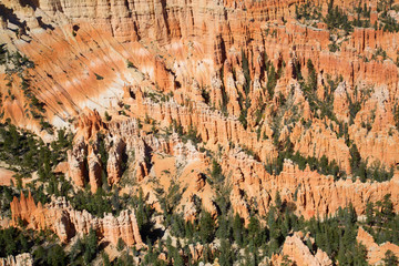 Bryce canyon