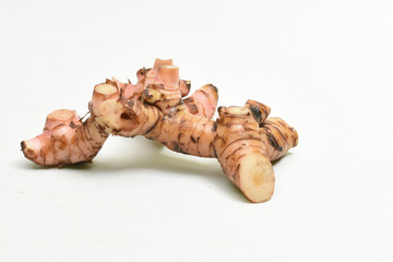 Alpinia galanga plant 