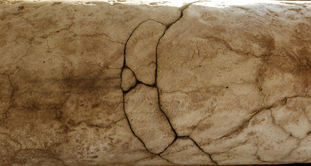Abstract cracked background as basis for any creative design. Cement, rok  fissure pattern. Crack...