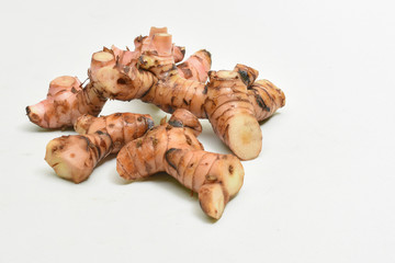 Alpinia galanga plant 