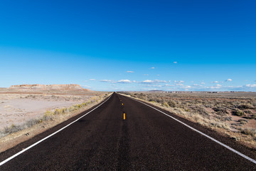 Highway vanishing to perspective on the horizon in a vast desert landscape under a bright blue sky