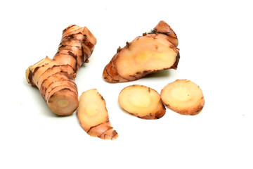 Alpinia galanga plant 