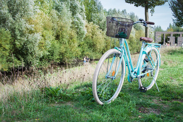 beautiful female bike stands on the grass without a hostess