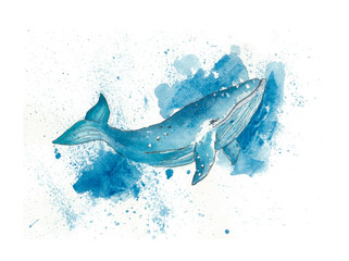 Watercolor blue whale © Daria Doroshchuk