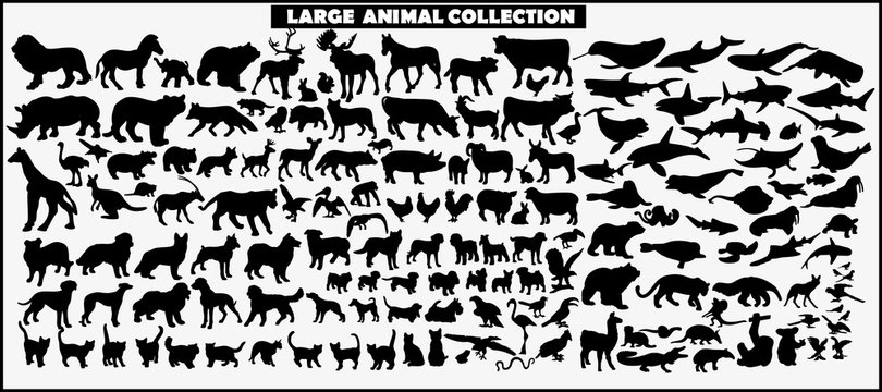 Set of vector silhouettes of animals on a white background