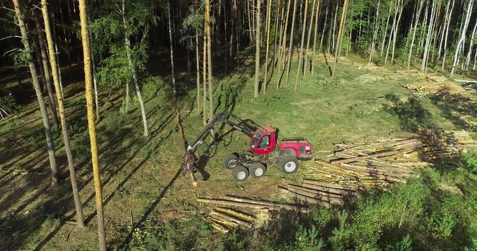 The forestry industry. Pine Forest Harvesting Machine. Logging Equipment. The harvester lumberjack working in a forest. Forest Wheeled Harvesters. A cut-to-length (CTL) forest harvester. 