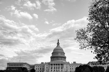 Fototapeta na wymiar U.S. Capitol Building, Washington, DC USA