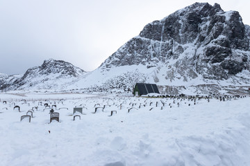 view of cemetery with graves and tombstones snow-covered, Lofoten Islands, Norway