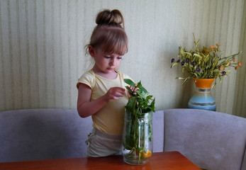 A little girl prepares a mojito drink from mint leaves.