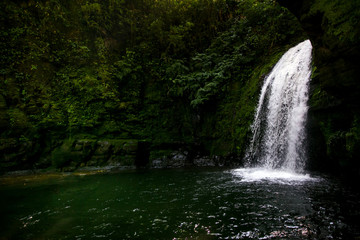 Cachoeira no meio da floresta, com pressão de água bem branca e pura