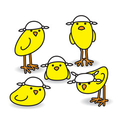 .Five Yellow Chicks wearing Handkerchiefs on Heads