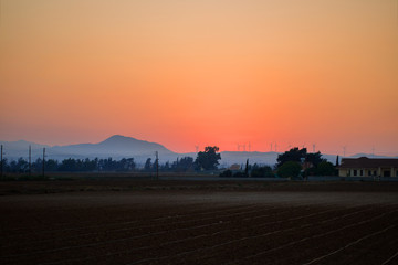 Sunrise over the farm field, orange sky, fog, downy mildew, mountains, wind turbines. Horizontal. Mideterranian, cyprus, agriculture, ecology