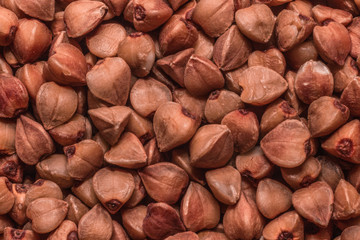 buckwheat groats macro as background