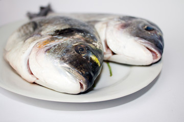 two fresh shiny dorada from village market on the plate