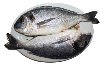 two fresh shiny dorada from village market on the plate