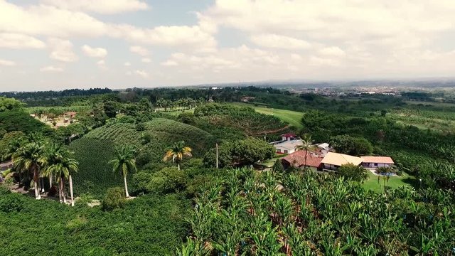 eje cafetero