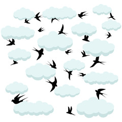 flying birds in the clouds,clouds and sky
