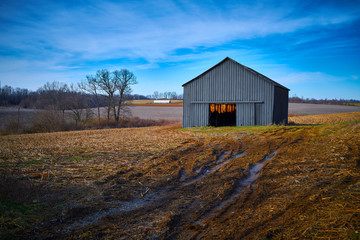 Tobacco Barn  With Hanging Tobacco