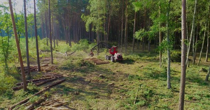 The forestry industry. Pine Forest Harvesting Machine. Logging Equipment. The harvester lumberjack working in a forest. Forest Wheeled Harvesters. A cut-to-length (CTL) forest harvester. 