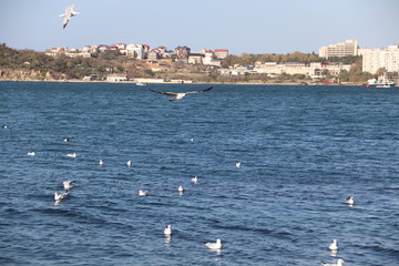 SEVASTOPOL .KRIMEA. RUSSIA!!!